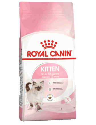 Best Pet Groomer